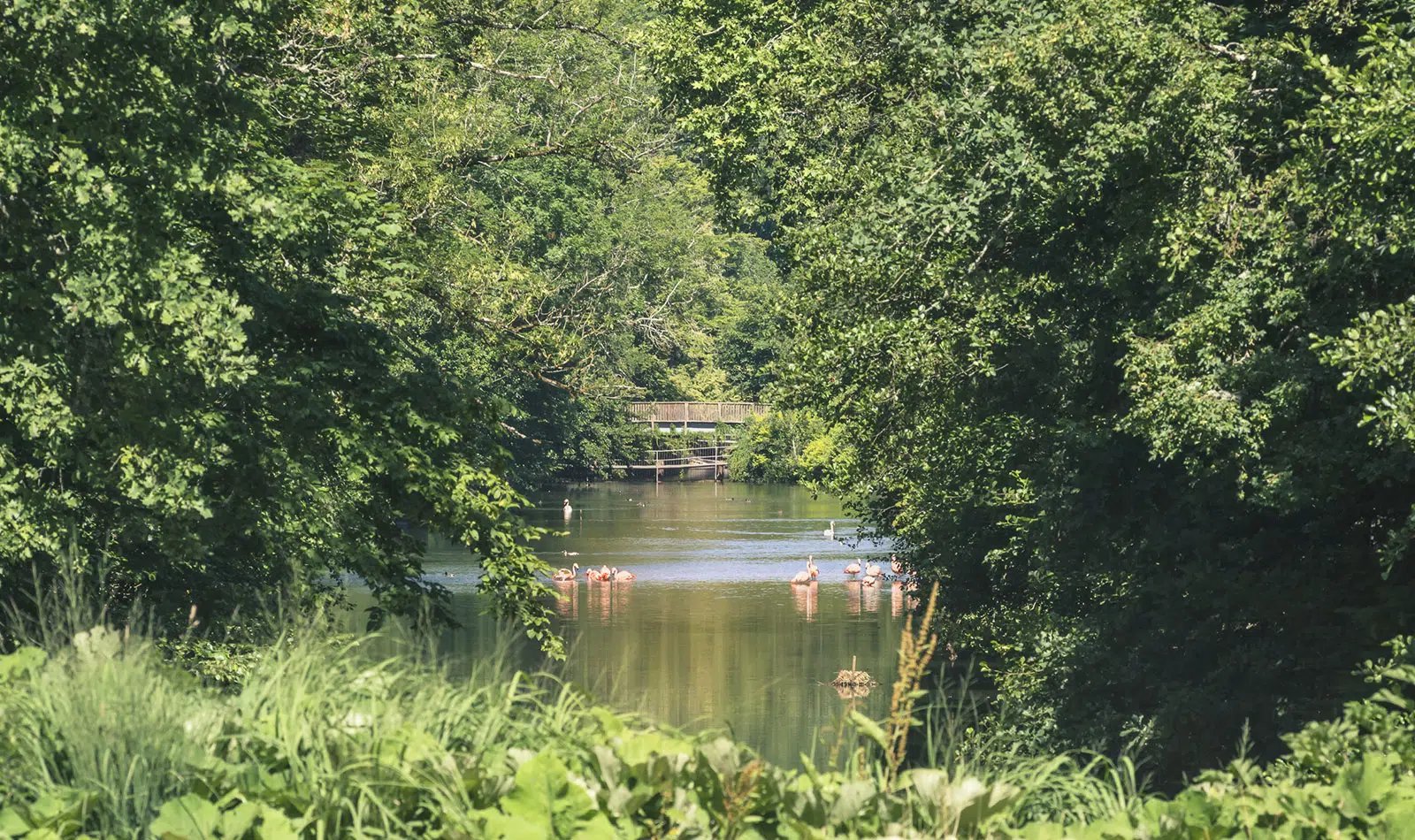 🌸 라 수르스 화훼 공원 (파크 플로랄 드 라 수르스)